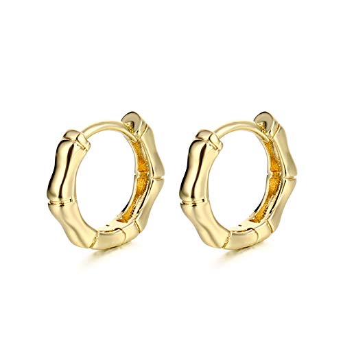 GRGFG Damen Creolen Ohrringe,Mode Einfache Goldene Geometrische Bambus Durchbohrte Ohrringe Hypoallergene Leichte Creolen Kreis Schmuck Ohrringe Für Frauen Mädchen Party Hochzeit